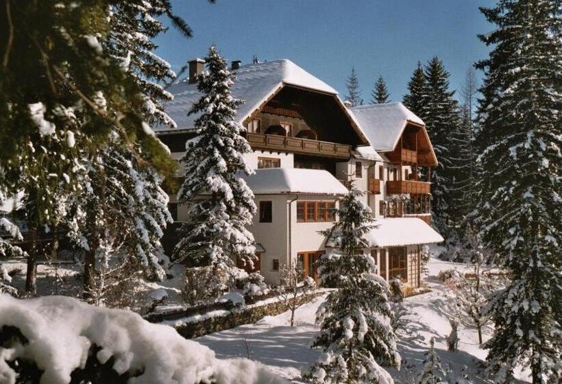 בית מלון כפרי Häuserl Im Wald