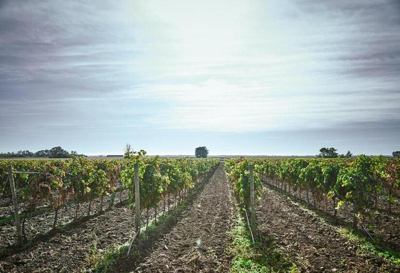 酒店 Residenz Velich