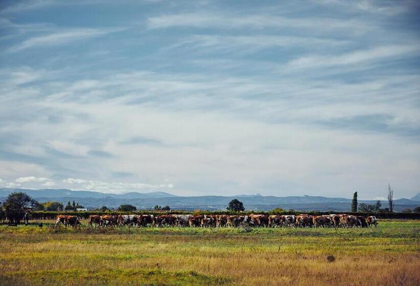 酒店 Residenz Velich