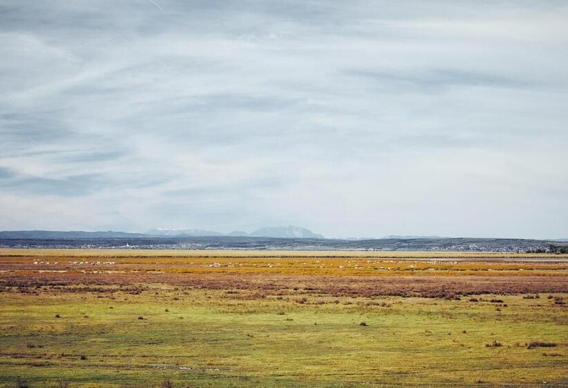 酒店 Residenz Velich