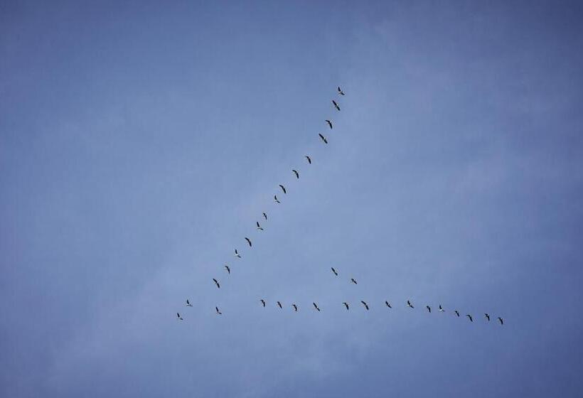 酒店 Residenz Velich