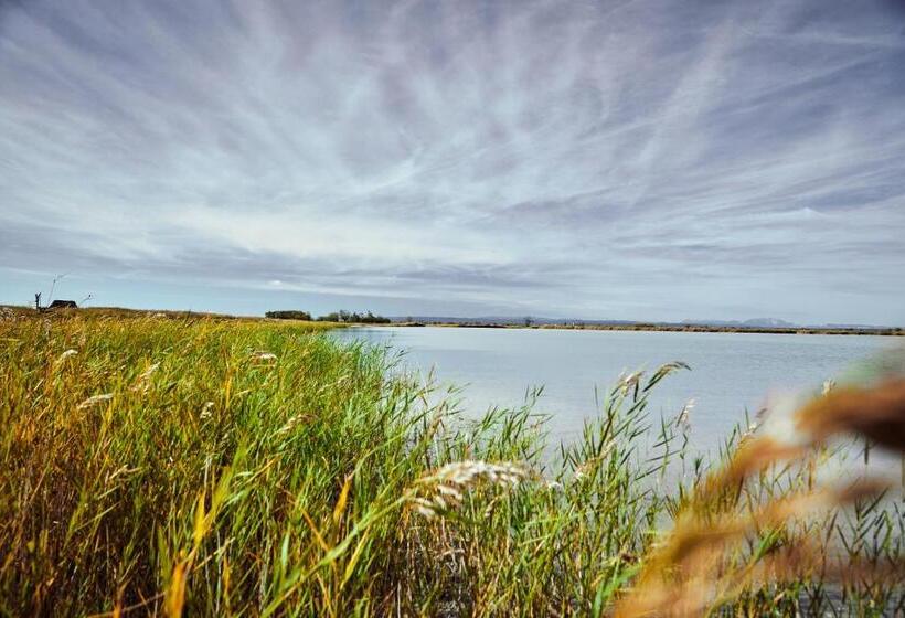 酒店 Residenz Velich