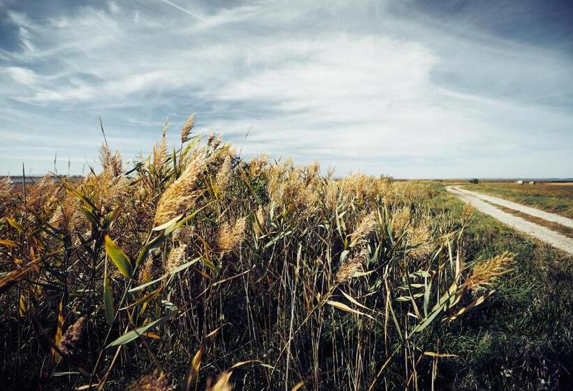 酒店 Residenz Velich