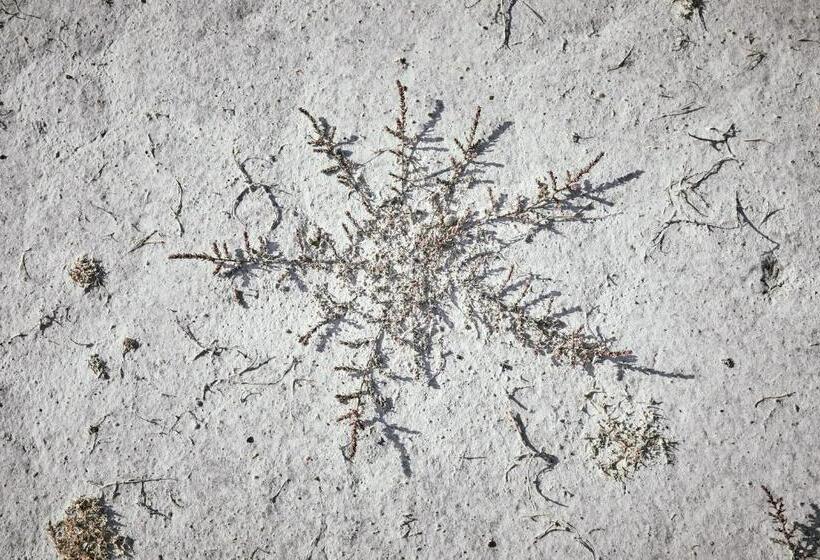 酒店 Residenz Velich