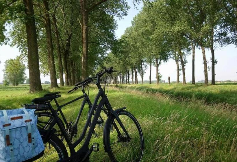 Boutique Hotel Shamon