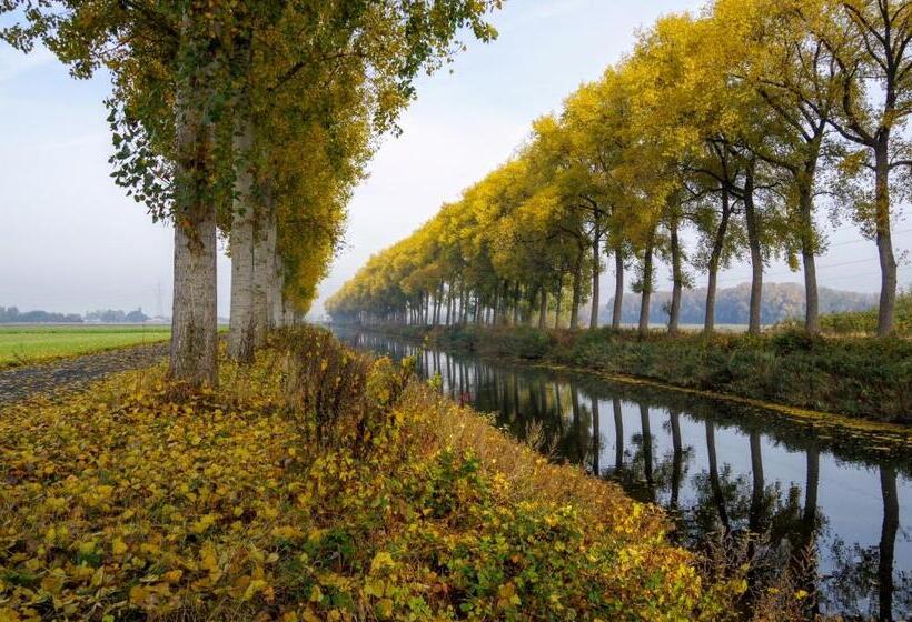 Boutique Hotel Shamon