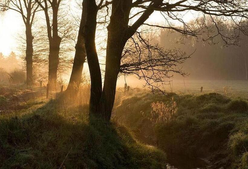 Boutique Hotel Shamon