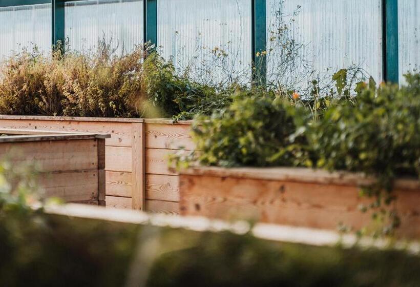 酒店 Wilfinger Ring Bio