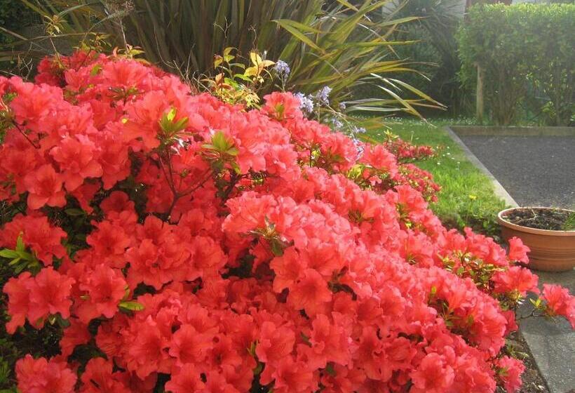 Liosderrig House B&b