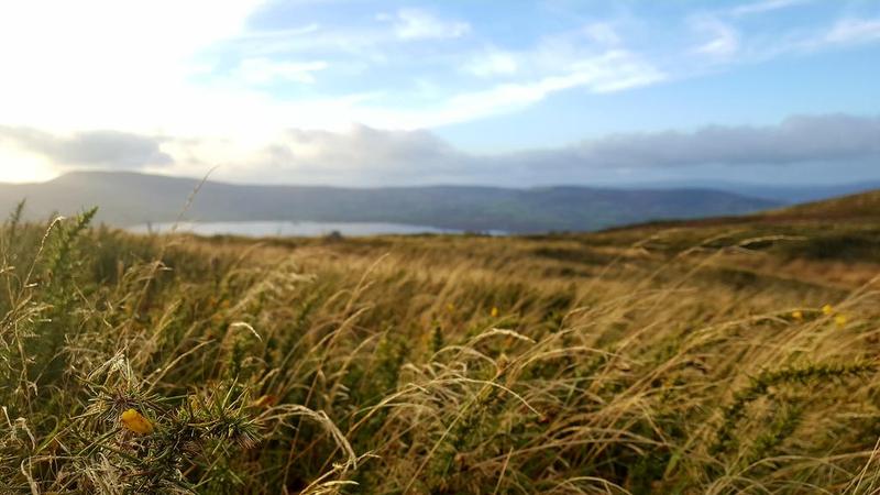 Williamsferry House Bed & Breakfast