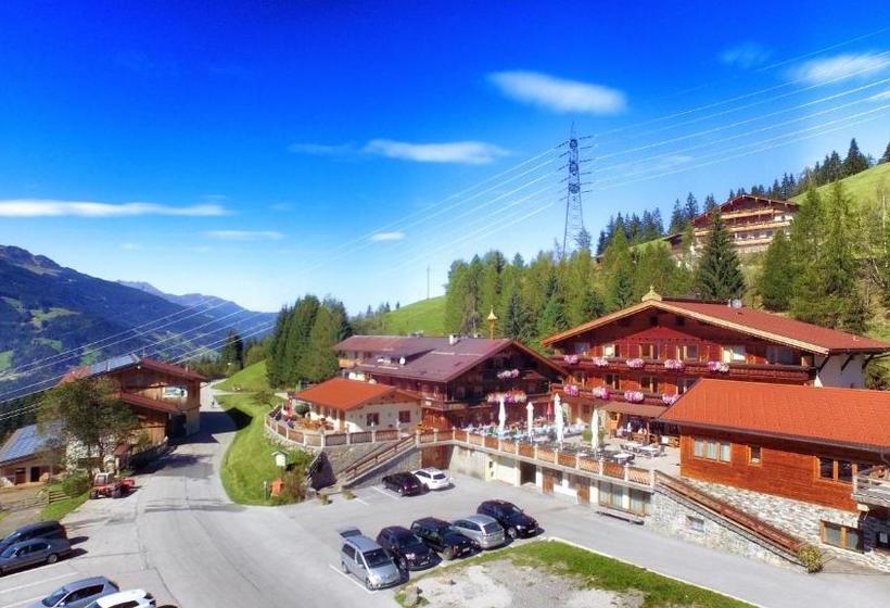 Bed and Breakfast Alpengasthof Enzianhof