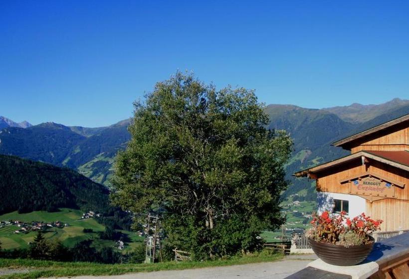 Bed and Breakfast Alpengasthof Enzianhof