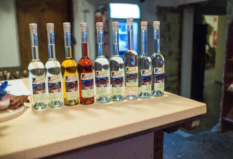 Bed and Breakfast Alpengasthof Enzianhof