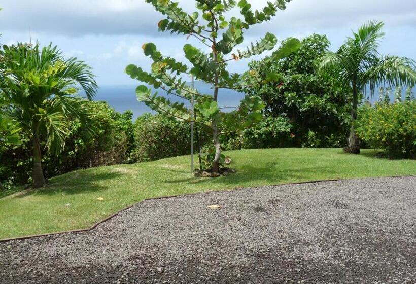 تختخواب و صبحانه Villa Cajou Chambres D Hôtes Chez L Habitant Et Zanzibar Cottage