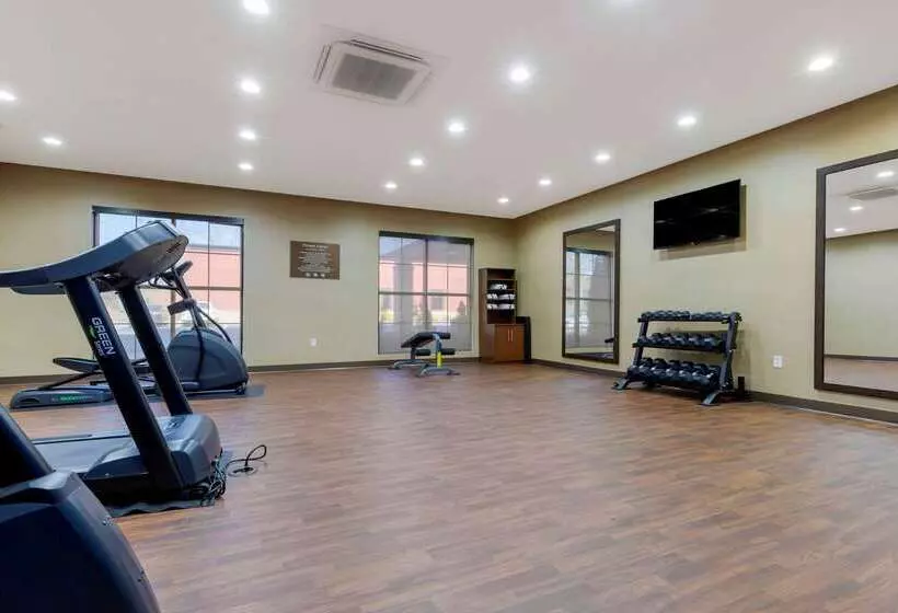 ホテル Comfort Suites Greenville South