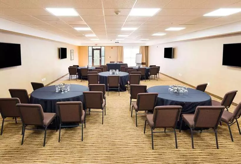 ホテル Comfort Suites Greenville South