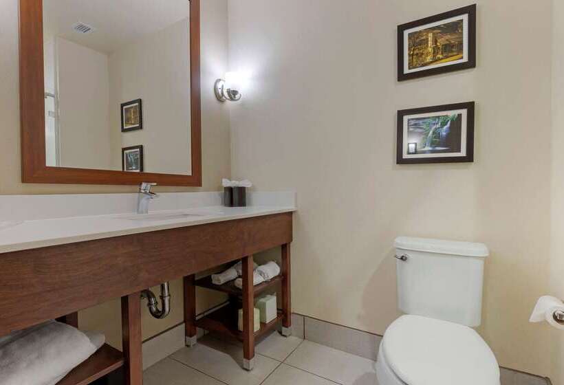 فندق Comfort Suites Greenville South