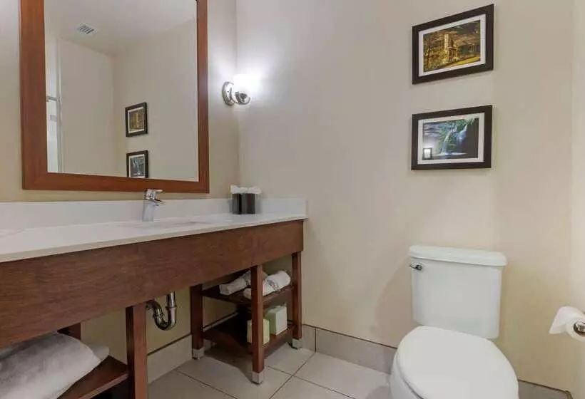 ホテル Comfort Suites Greenville South