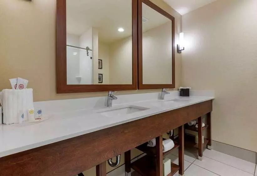 ホテル Comfort Suites Greenville South