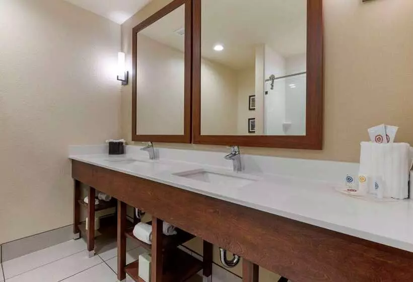 ホテル Comfort Suites Greenville South