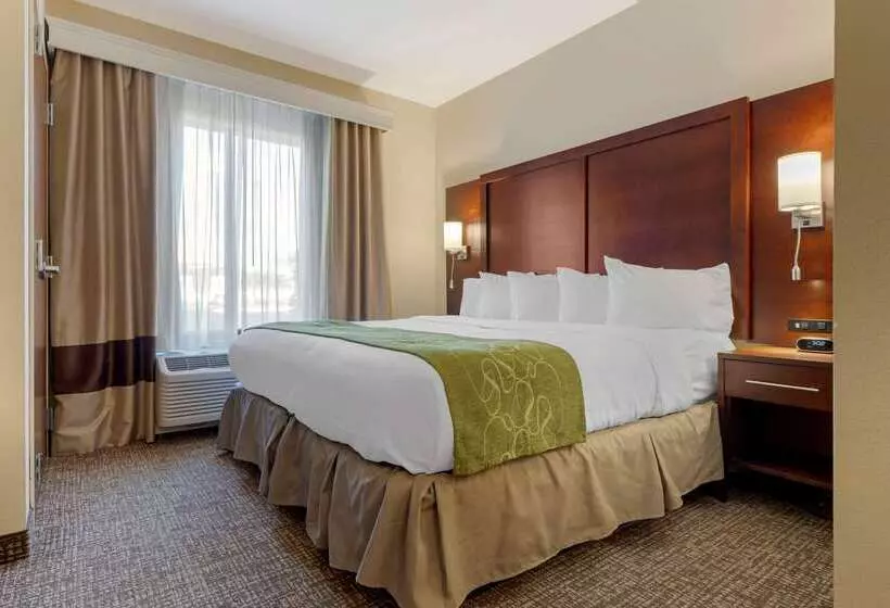 ホテル Comfort Suites Greenville South