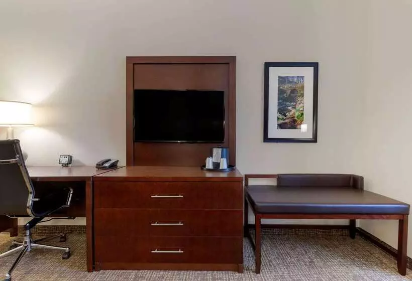 ホテル Comfort Suites Greenville South