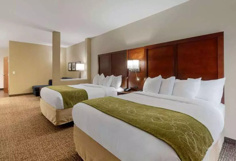 ホテル Comfort Suites Greenville South