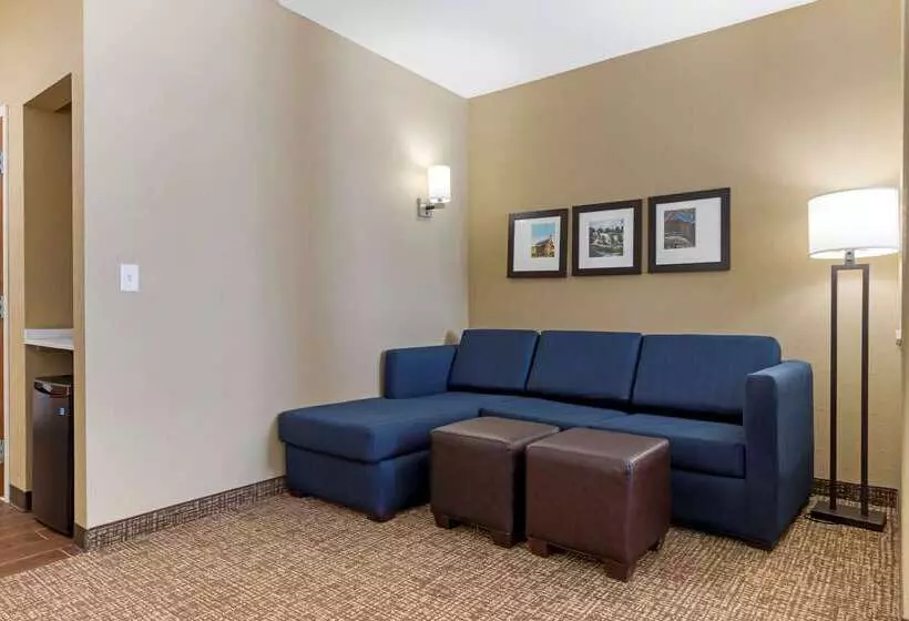 ホテル Comfort Suites Greenville South