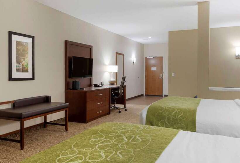 فندق Comfort Suites Greenville South