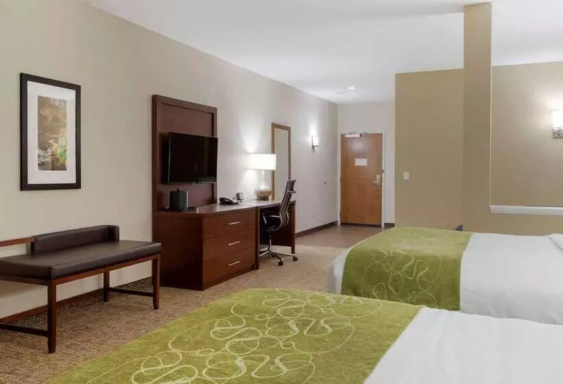 ホテル Comfort Suites Greenville South