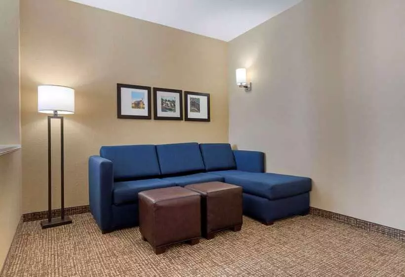 ホテル Comfort Suites Greenville South