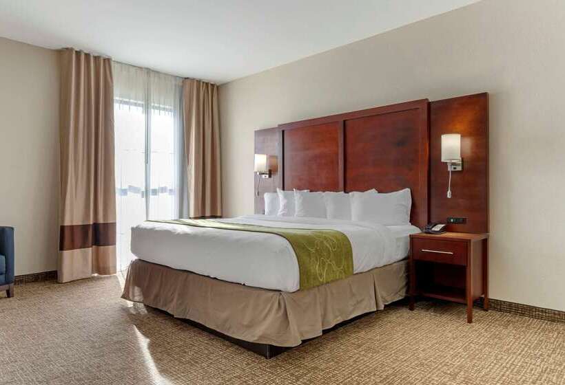 فندق Comfort Suites Greenville South