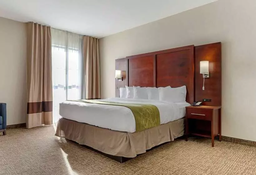 ホテル Comfort Suites Greenville South