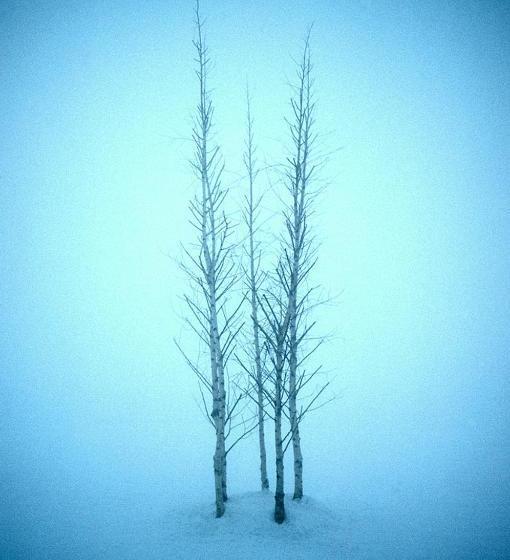 בית מלון כפרי Lynhams