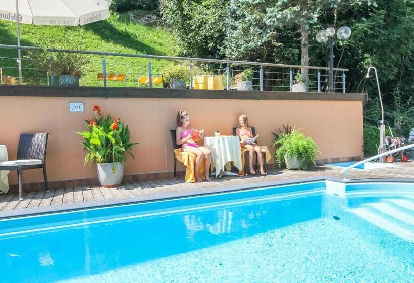 فندق Metzgerwirt