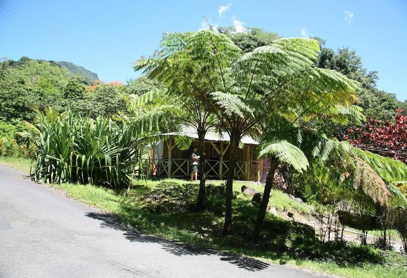 هتل Natty Tropical Valley