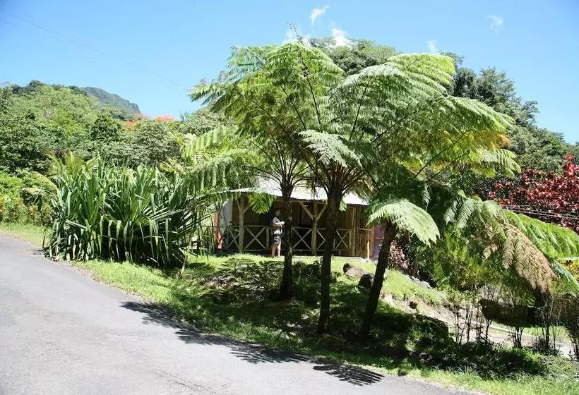 هتل Natty Tropical Valley