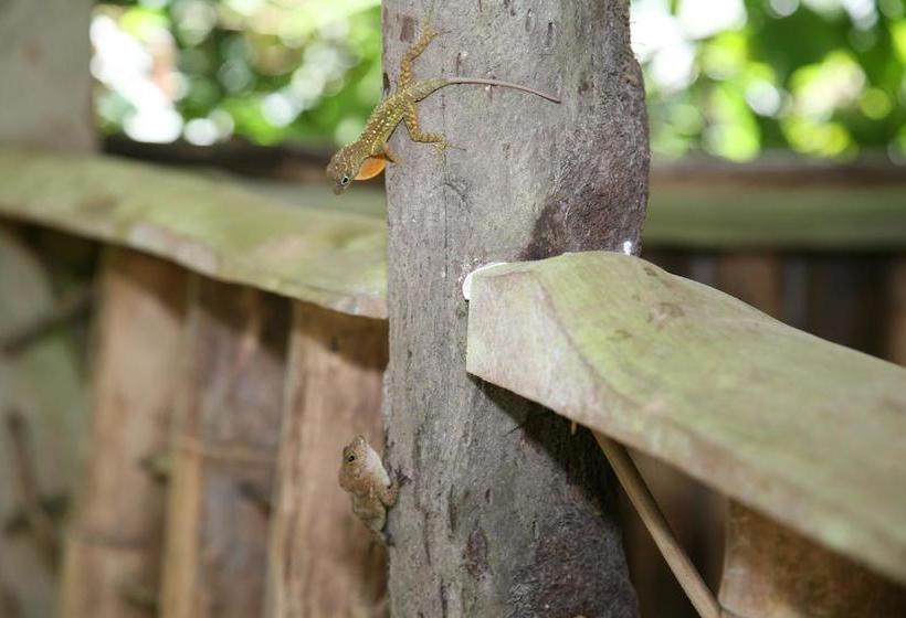 هتل Natty Tropical Valley