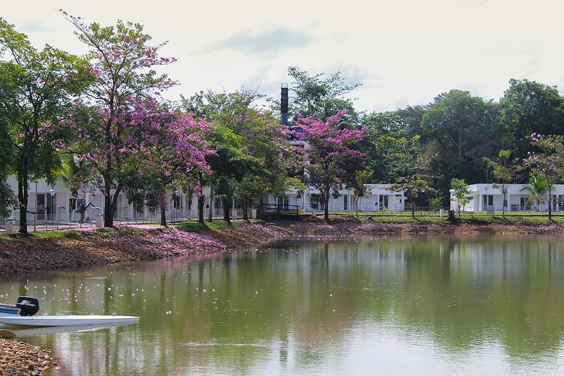 בית מלון כפרי On Vacation Hacienda Llanera