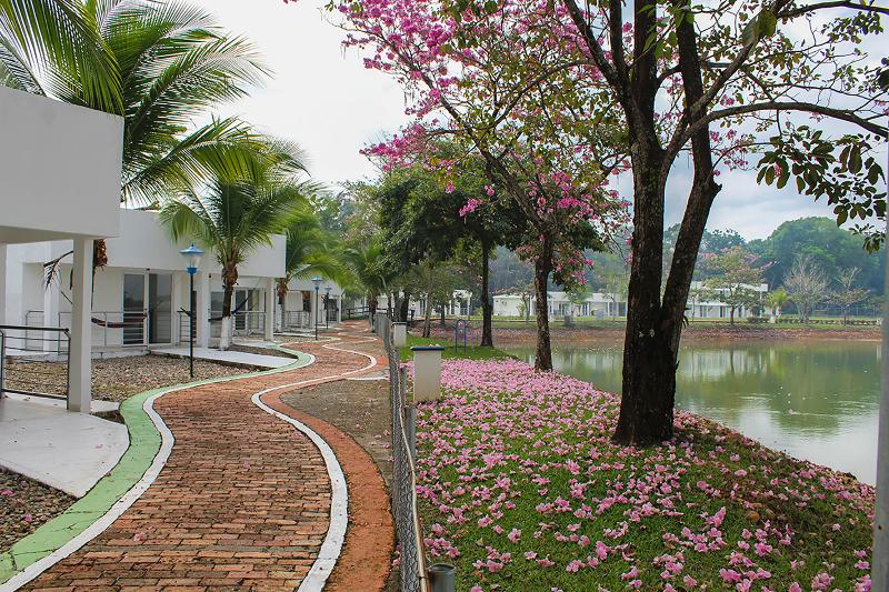 בית מלון כפרי On Vacation Hacienda Llanera