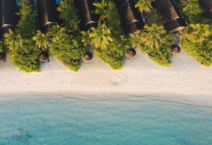 هتل Ozen Life Maadhoo  Luxury All Inclusive