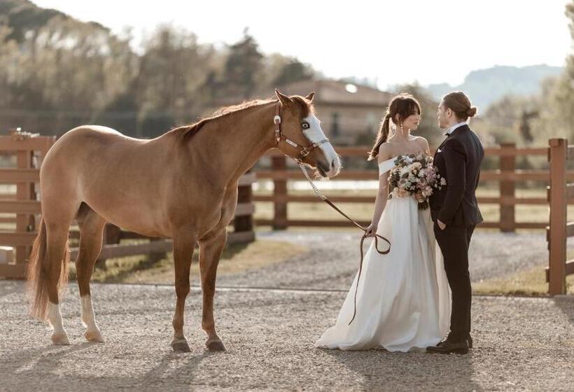 Отель Relais Sassa Al Sole