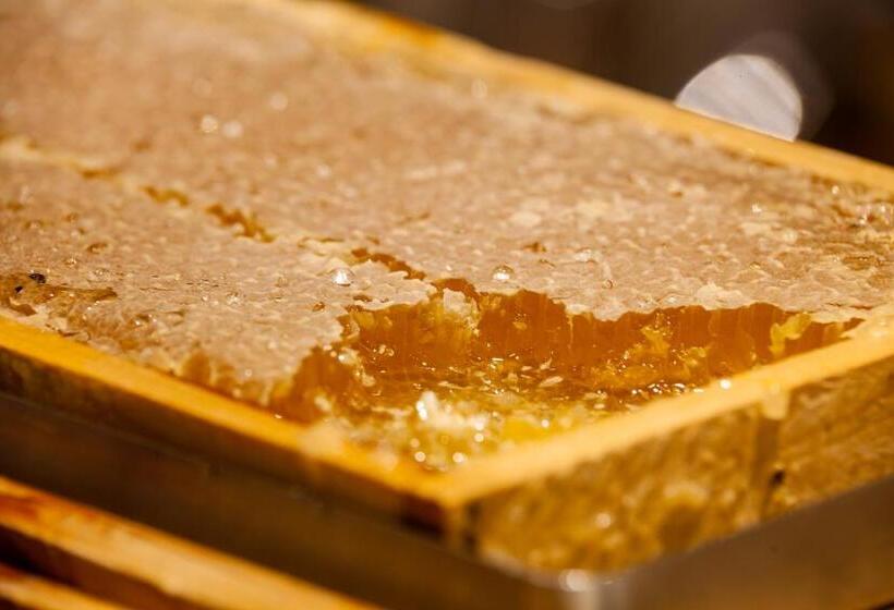 فندق Restaurant Grimmingblick