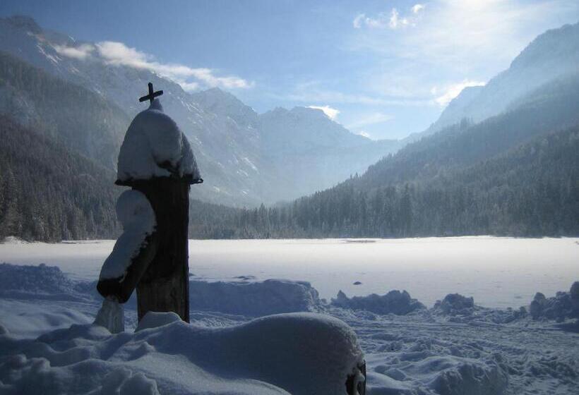 ホテル Salzburger Stubn