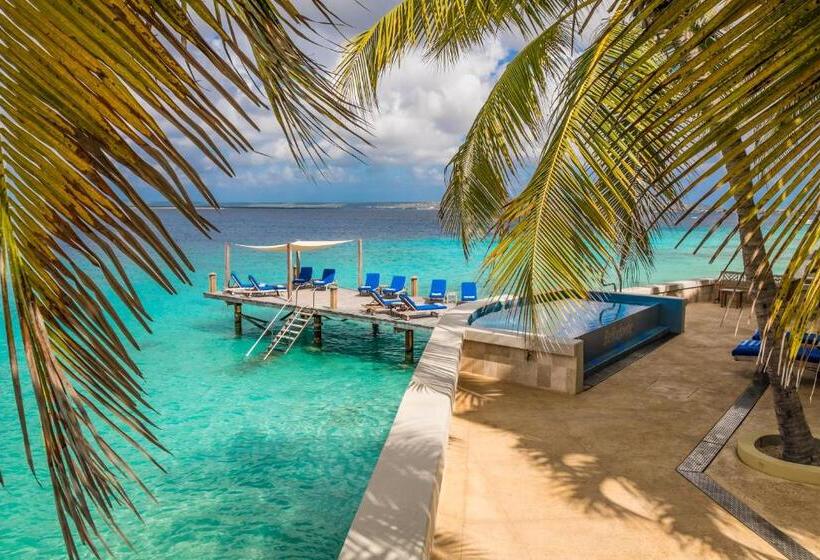 هتل The Bellafonte Luxury Oceanfront