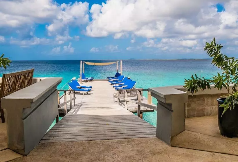 هتل The Bellafonte   Luxury Oceanfront