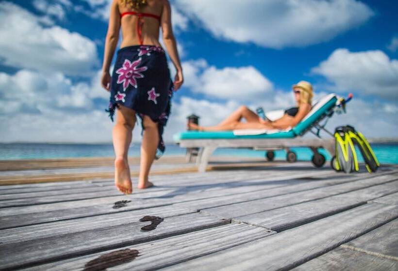 هتل The Bellafonte Luxury Oceanfront