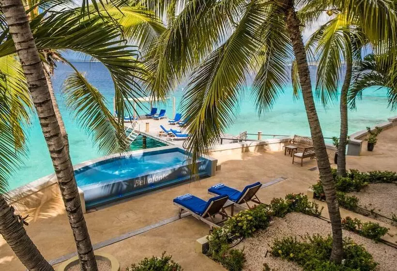 هتل The Bellafonte   Luxury Oceanfront