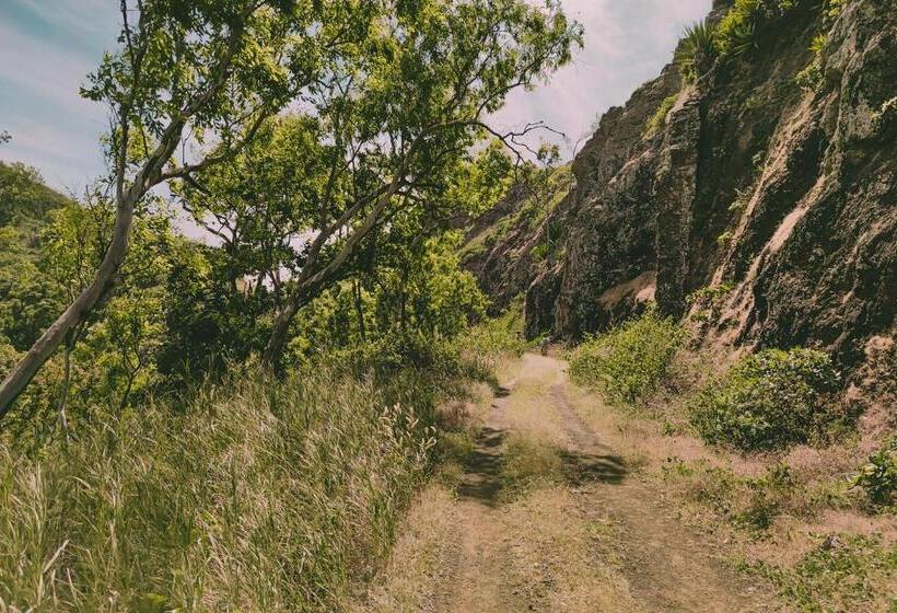 استراحتگاه King Fisher Village