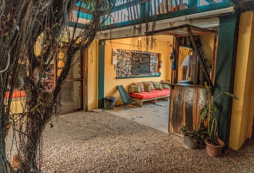 هاستل Bella's Backpackers Cayo